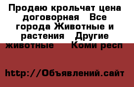 Продаю крольчат цена договорная - Все города Животные и растения » Другие животные   . Коми респ.